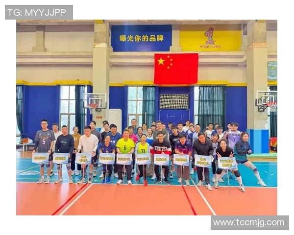 南京排球队的拼搏之路与挑战赛背后的感人故事