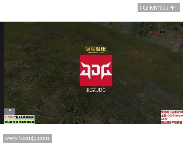 和平精英战术解析：深入剖析JDG战队的控制体系与战术运用