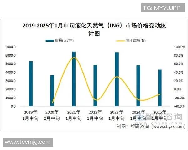 数据分析揭示LNG在不同市场环境下的耐力表现及其影响因素探讨 数据分析揭示LNG在不同市场环境下的耐力表现及其影响因素探讨